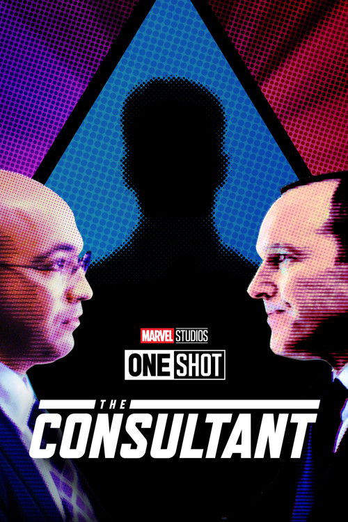 The Consultant poster
